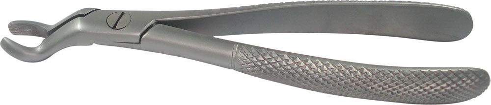 Cat Instruments Adult Upper Anterior Extraction Forceps - Global Surgicals