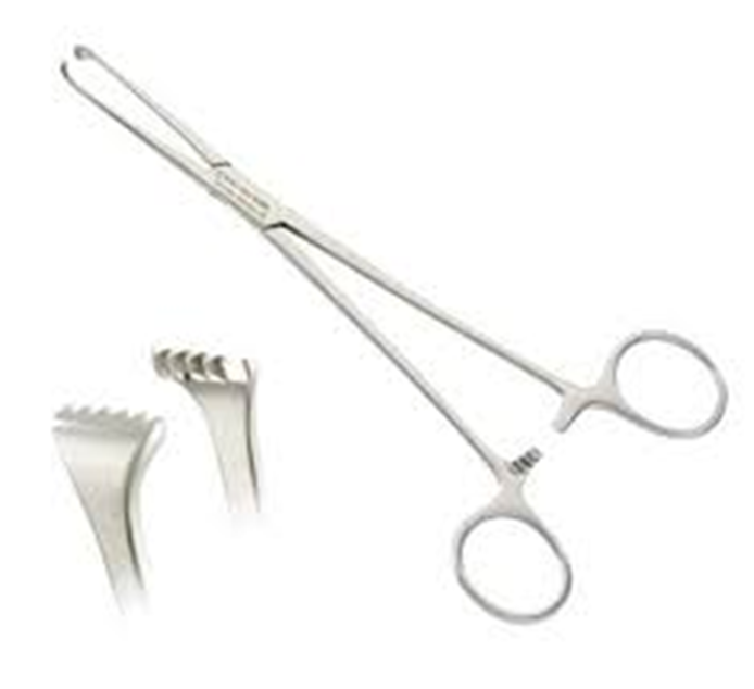 Cooper Surgical Biopsy Forcep Esbpsy