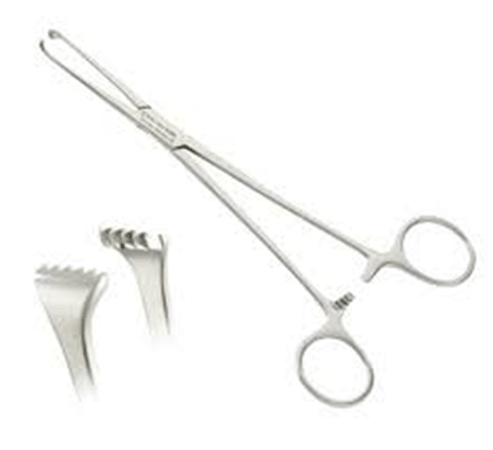 Cooper Surgical Biopsy Forcep Esbpsy - Global Surgicals
