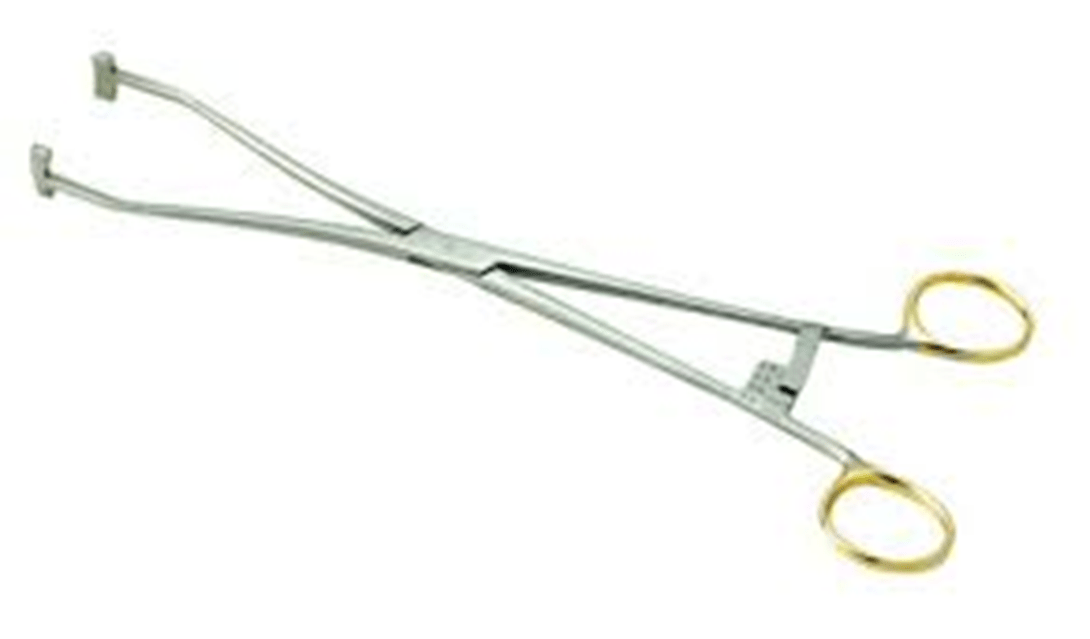 Cooper Surgical Cervical Sizer - Global Surgicals