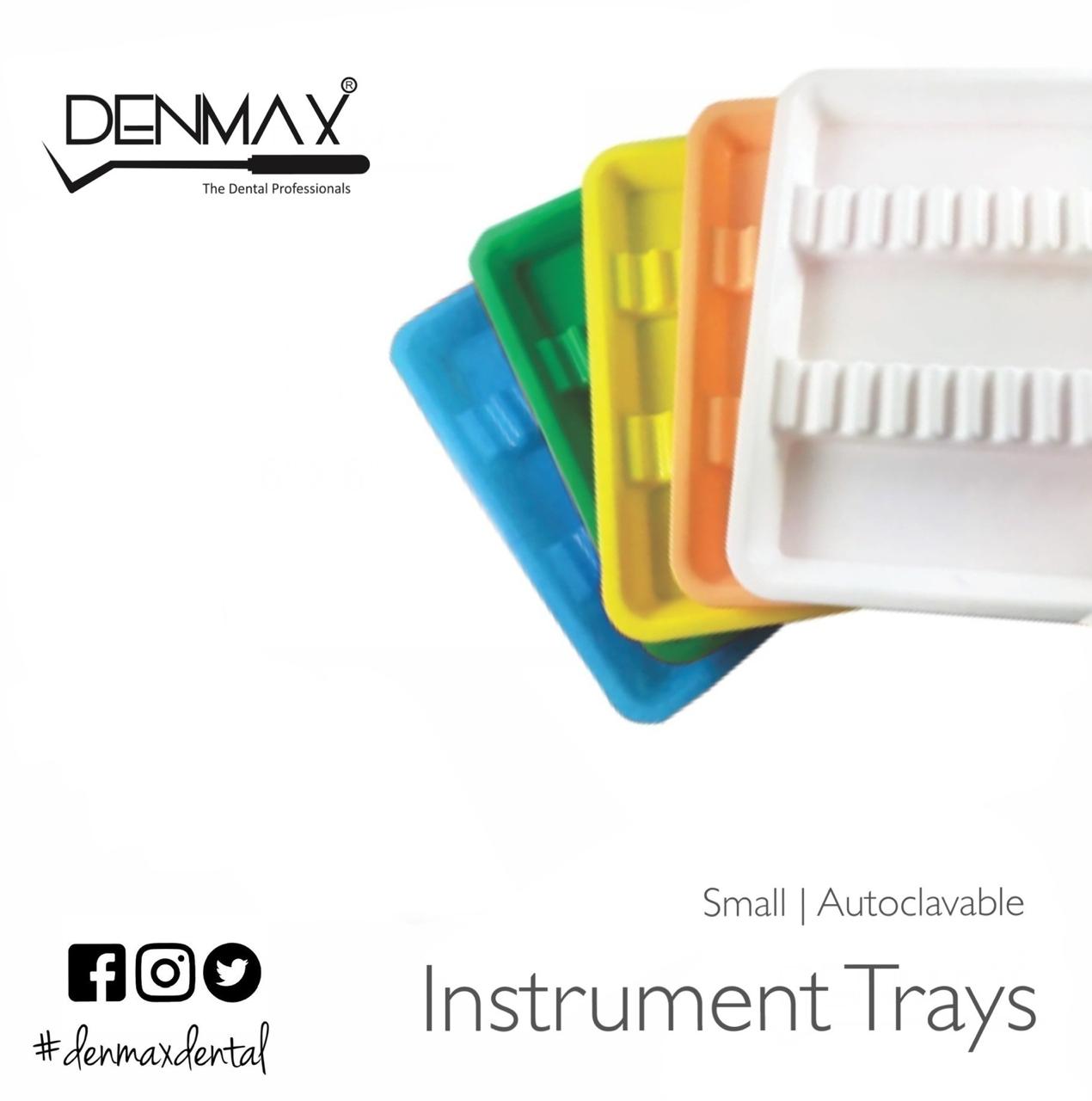 Denmax Small Autoclavable Instrument Tray - Global Surgicals