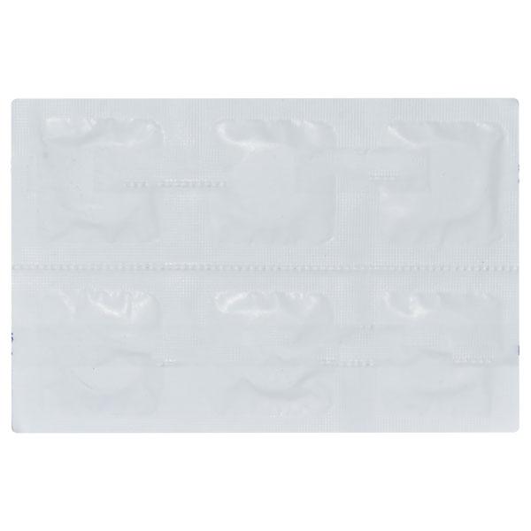 DENSIVE DENTURE CLEANSER Tablet 30's - Global Surgicals
