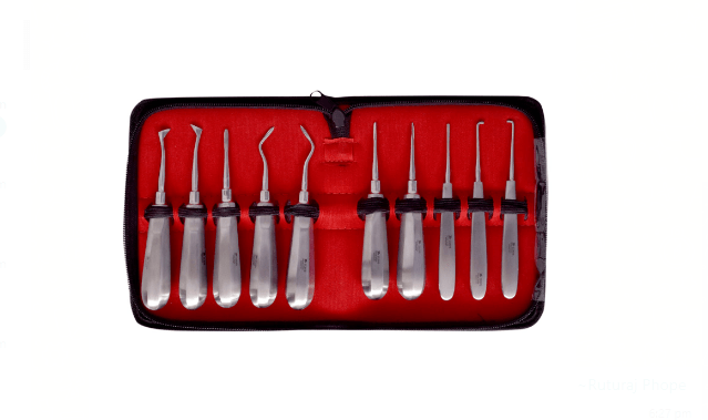 Dr. Steve Surgical Elevators - Global Surgicals
