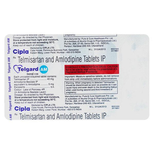 TELGARD AM Tablet 10's