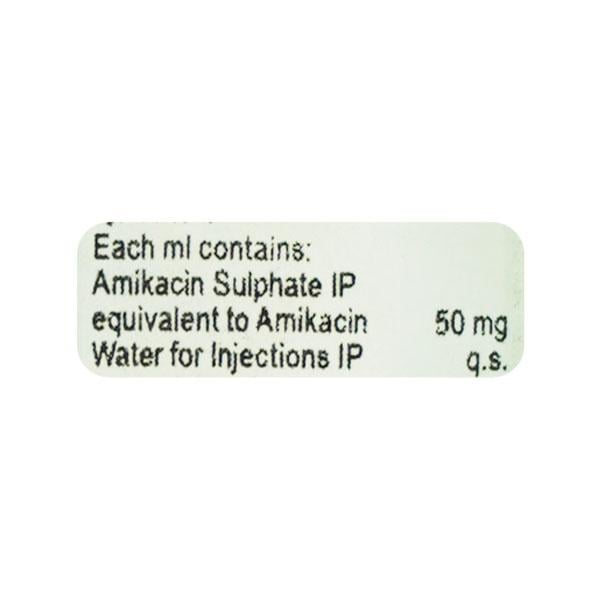 Amicin 100mg Injection 2ml