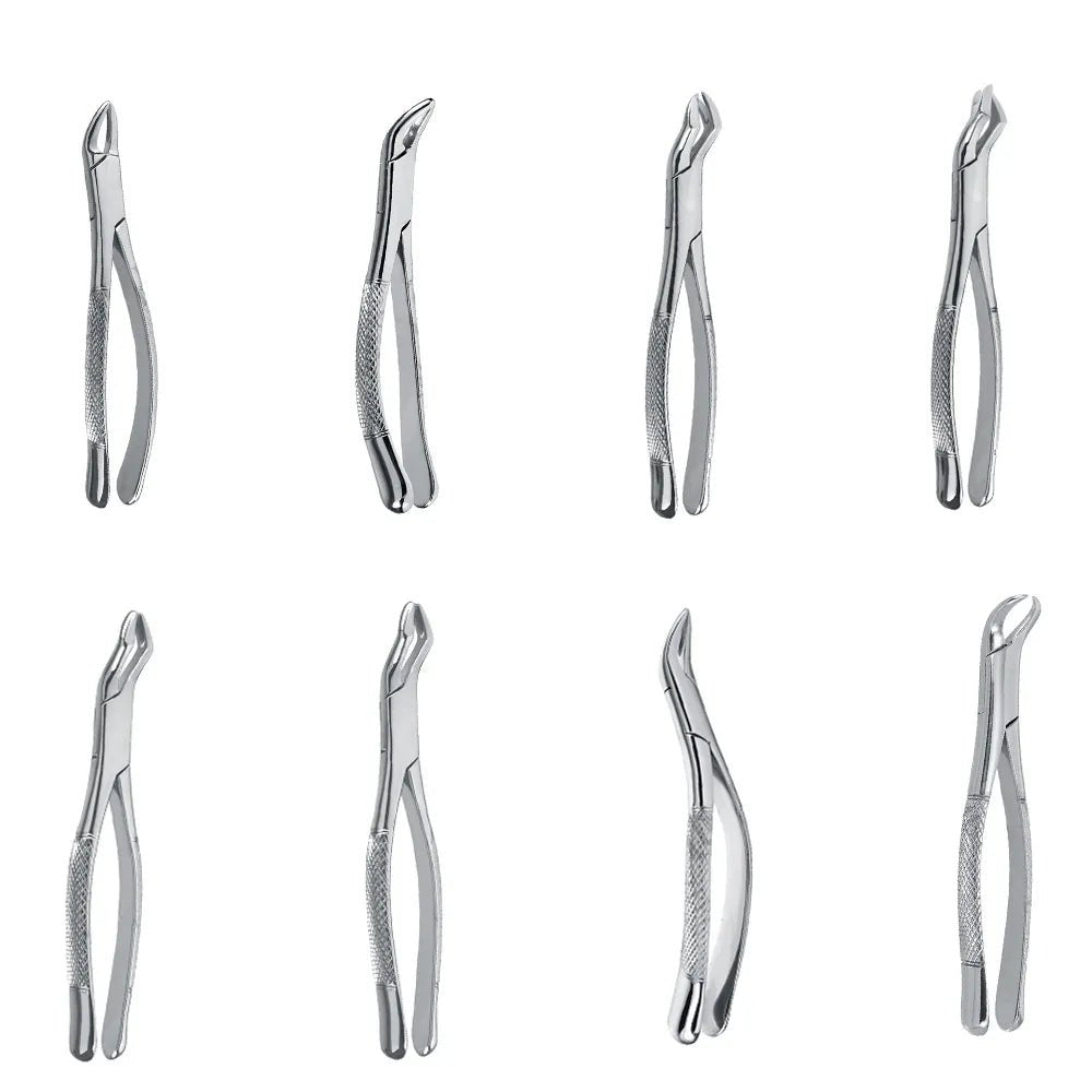 GDC American Molars First & Second Upper Molar Teeth Right  53R Dental Forceps - Global Surgicals