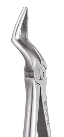 GDC American Nevius First & Second Upper Molar Teeth Left  88L Dental Forceps - Global Surgicals
