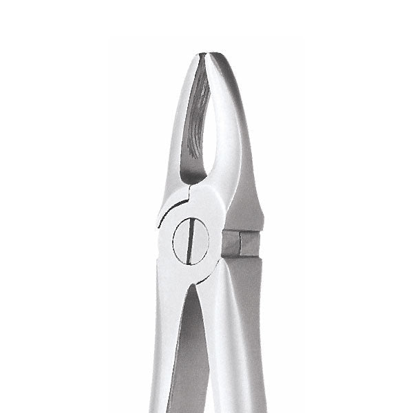 GDC Premium Upper Anterior Extraction Dental Forceps - Global Surgicals
