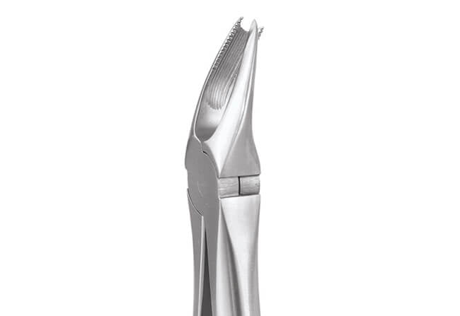 GDC Upper Molars Right Standard Extraction Dental Forceps - Global Surgicals