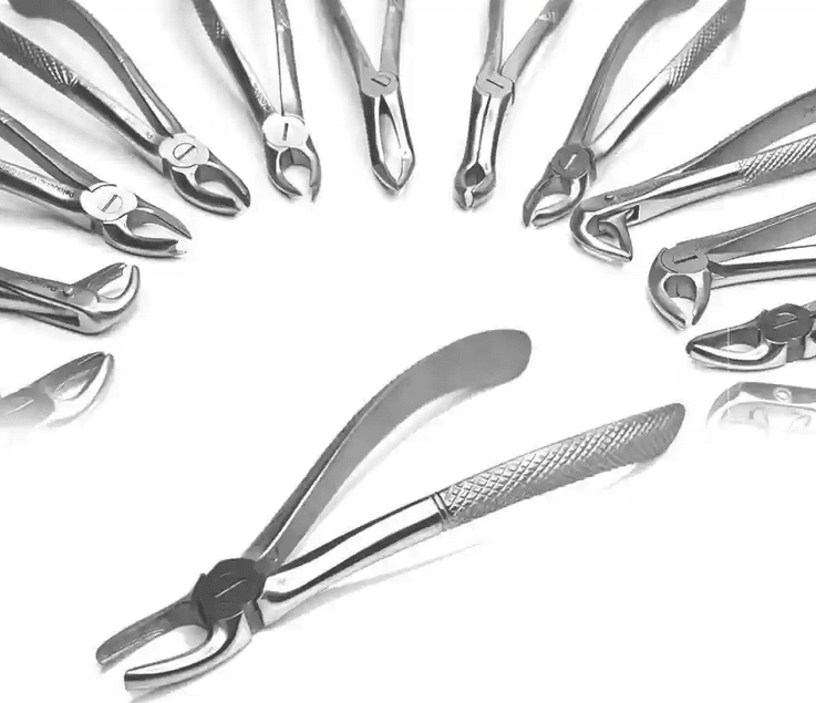 GDC Upper Premolar Premium Extraction Dental Forceps - Global Surgicals