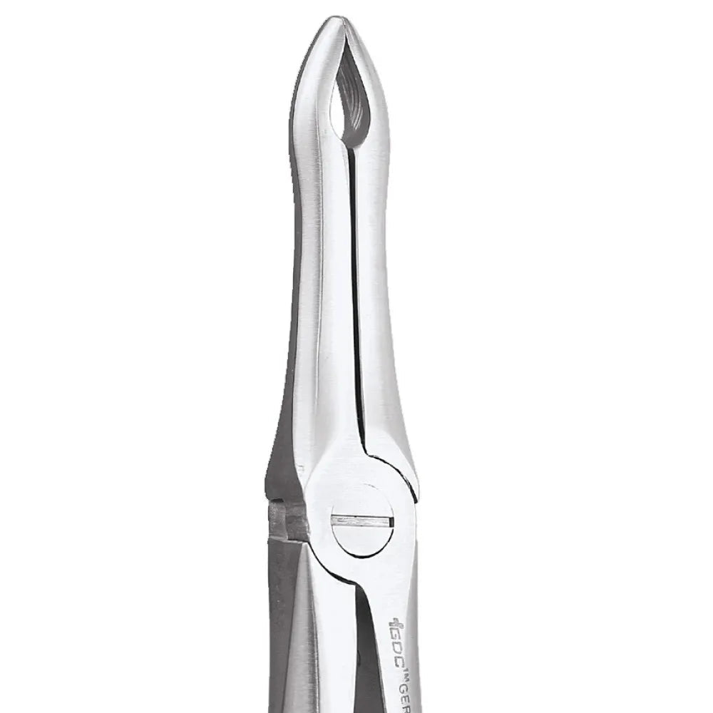 GDC Upper Root Extraction 41 Standard Extraction Dental Forceps - Global Surgicals