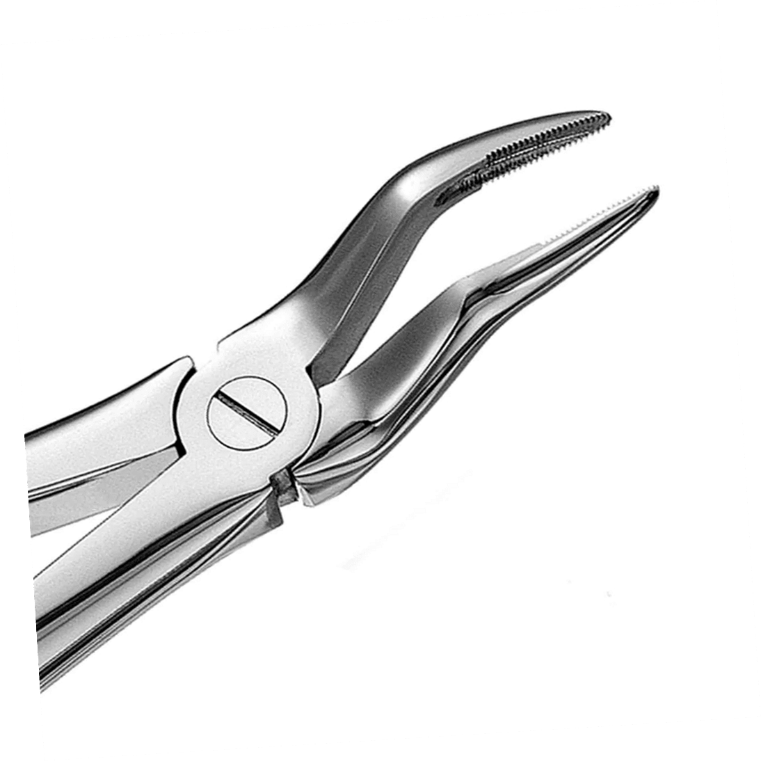 GDC Upper Root Extraction 51 Standard Extraction Dental Forceps - Global Surgicals