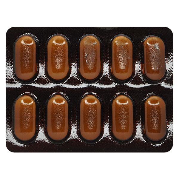 GINKOCER FORTE Tablet 10's - Global Surgicals