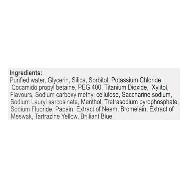 Glizer Tooth Paste 100gm - Global Surgicals