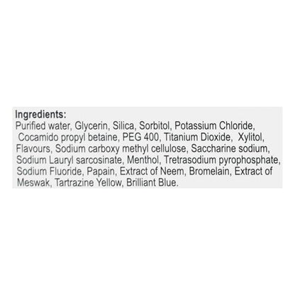 Glizer Tooth Paste 100gm - Global Surgicals