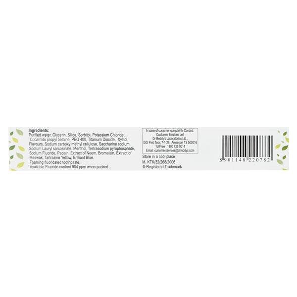 Glizer Tooth Paste 100gm - Global Surgicals