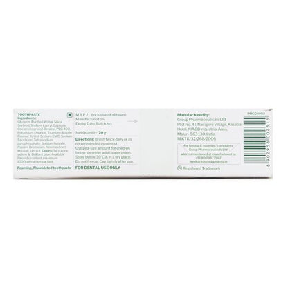 GLODENT Tooth Paste 70gm - Global Surgicals