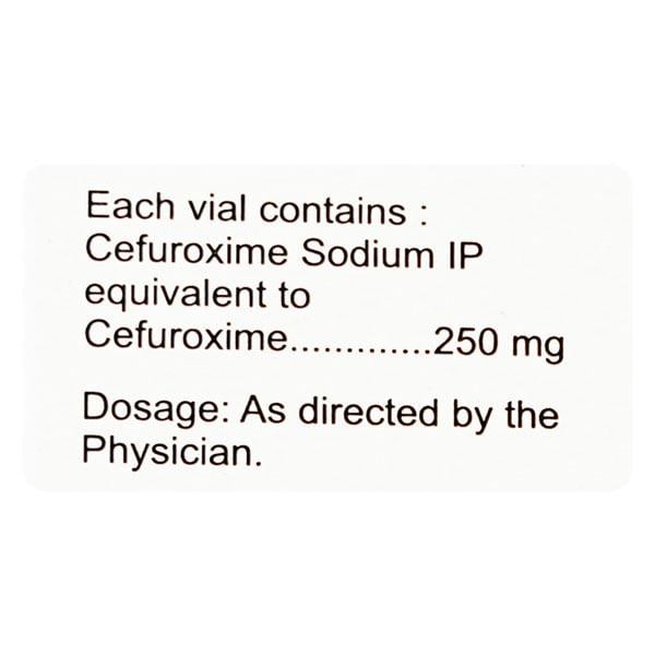 Zocef 250mg Injection 1'S