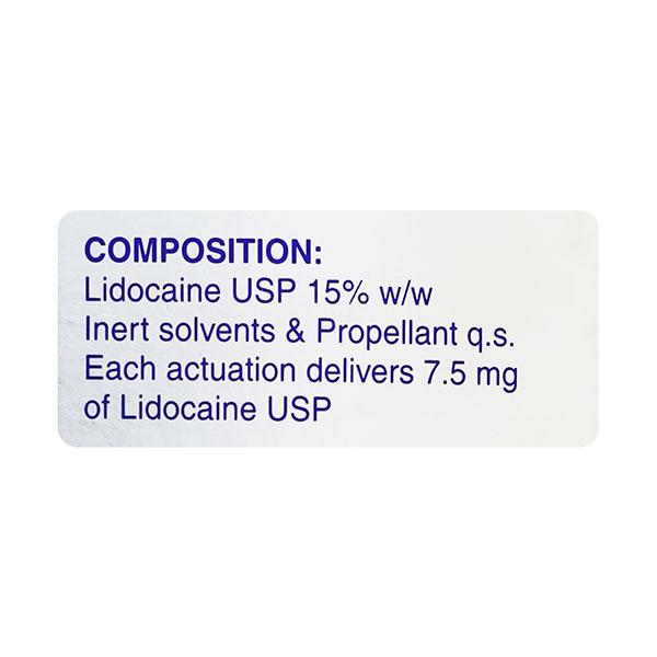 Nummit Fresh Mint Flavour Spray 100gm