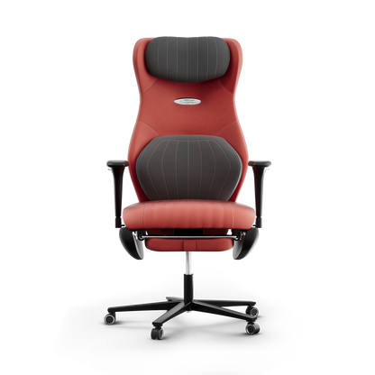 Frido ErgoLuxe Executive Chair - Frido view 6