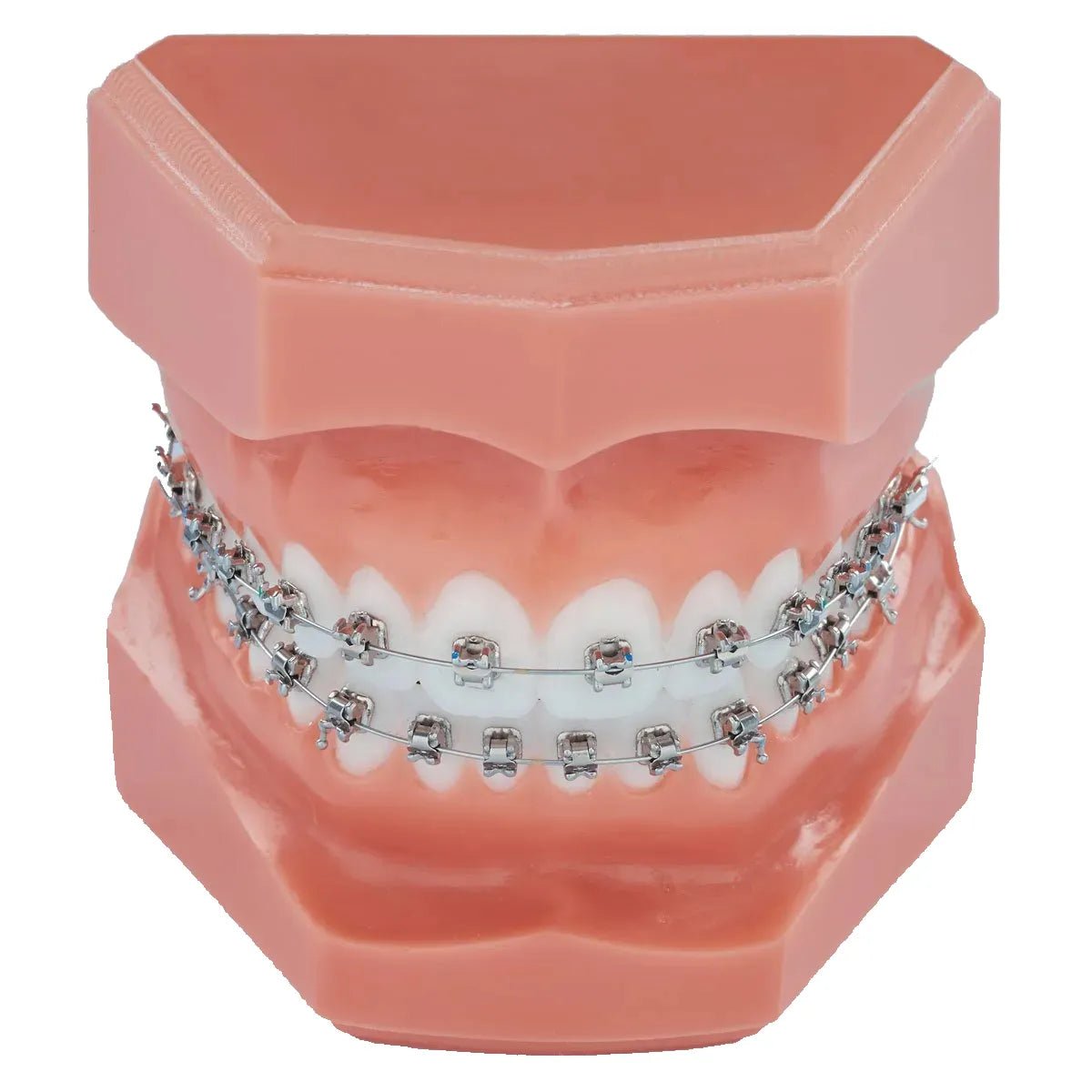 Koden Basic Series Normal Conventional Brackets - Global Surgicals