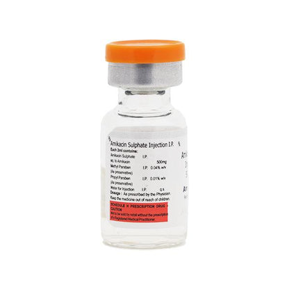 AMILAB 500 Injection 1's