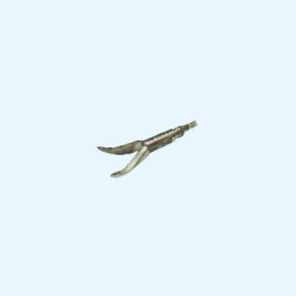Laparomed Maryland Dissecting and Grasping Forcep - Global Surgicals