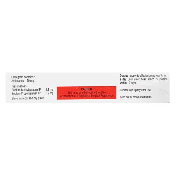 Lexanox Paste 5gm - Global Surgicals
