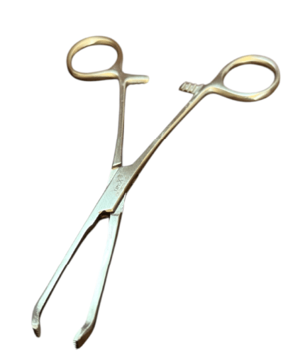 LifeX Allis Tissue Forceps - Global Surgicals