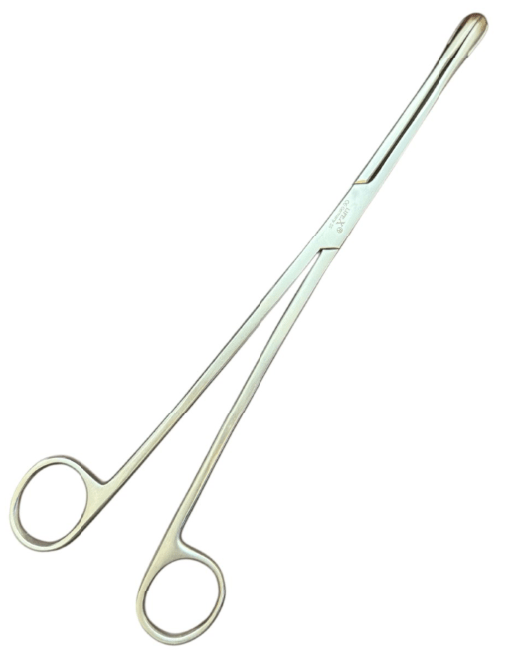 LifeX Ovum Forceps - Global Surgicals
