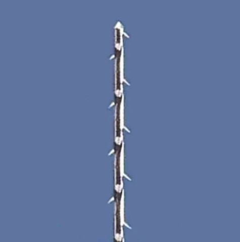 Mani Stainless Steel Barbed Broaches - Global Surgicals