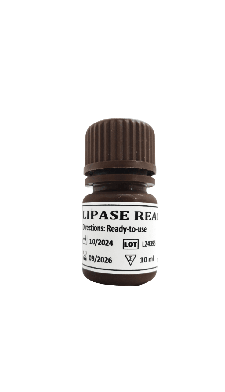 Medilytic Biomedicals Lipase - Global Surgicals