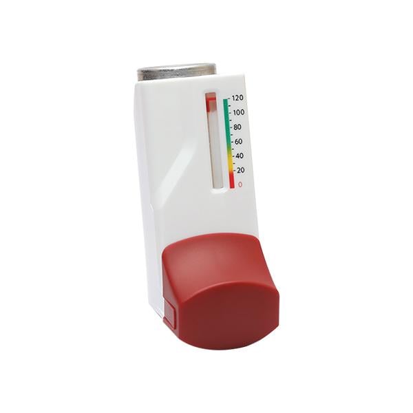 BUDAMATE G WITH DOSE INDICATOR 120md Inhalation 7.6g