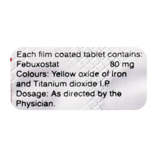 ENDEAVOUR'S FURIC 80mg Tablet 15's