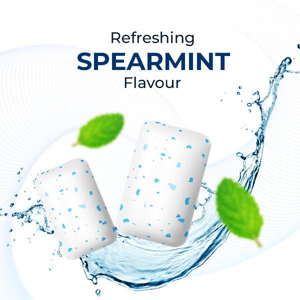 NICOSURE 4MG SUGAR FREE SPEARMINT FLAVOUR Gum 8's - Global Surgicals