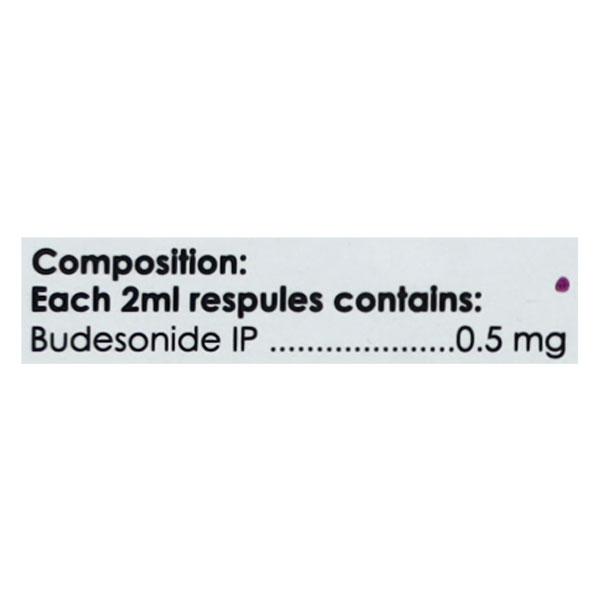 BUDEPRL Respules 5X2ml