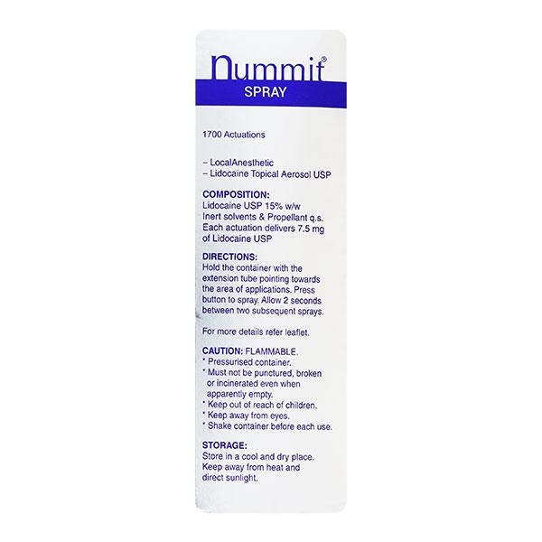 Nummit Fresh Mint Flavour Spray 100gm - Global Surgicals