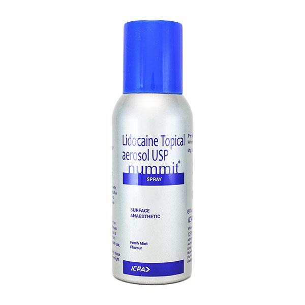 Nummit Fresh Mint Flavour Spray 100gm - Global Surgicals