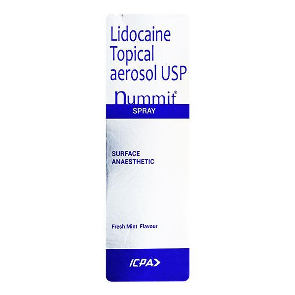 Nummit Fresh Mint Flavour Spray 100gm - Global Surgicals
