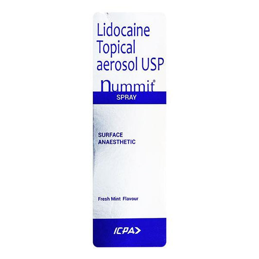 Nummit Fresh Mint Flavour Spray 100gm - Global Surgicals