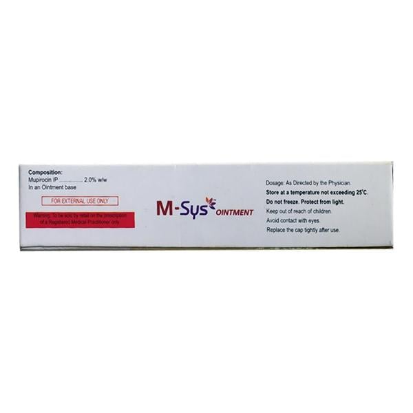 M SYS Ointment 10gm