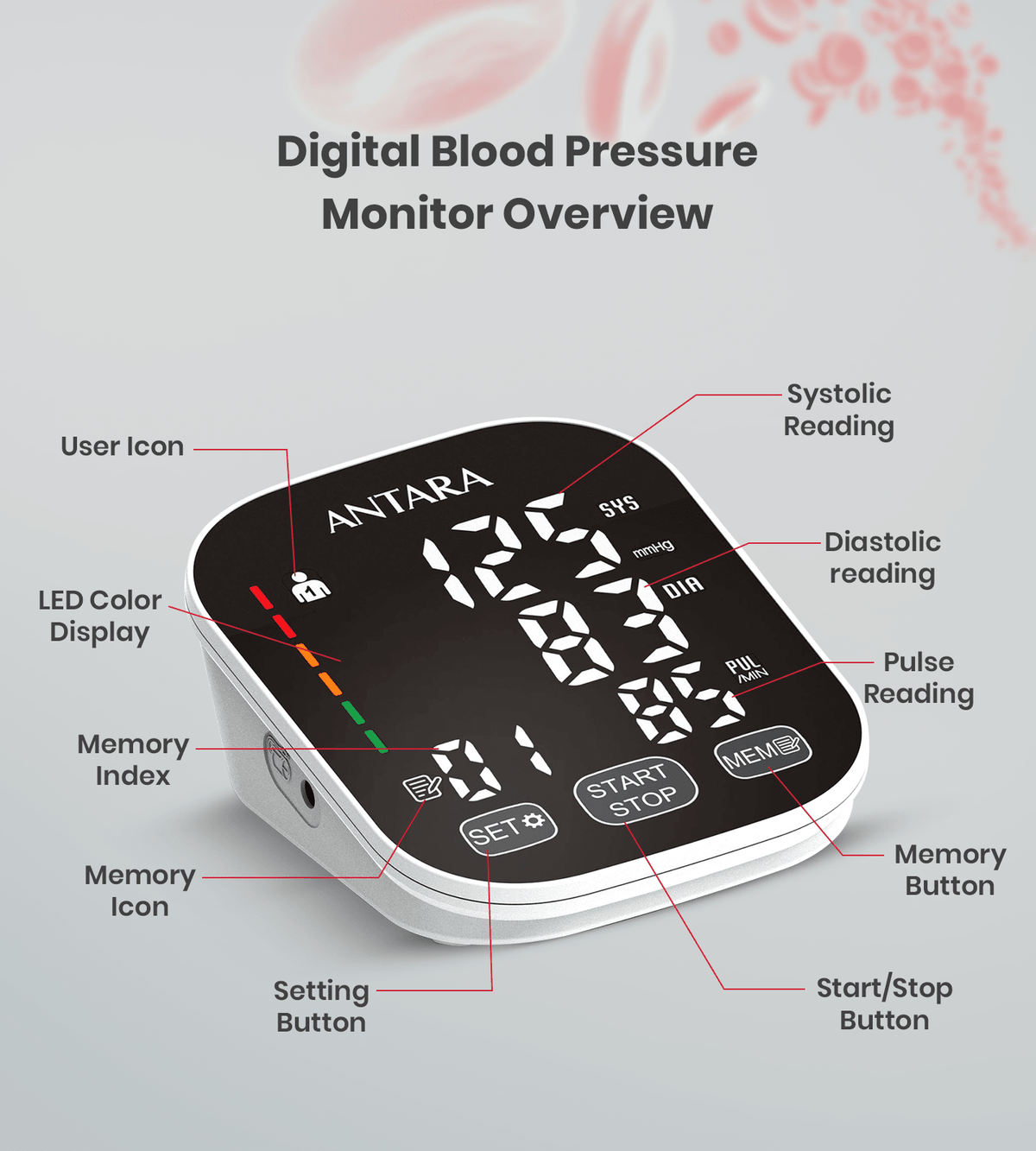 One Touch Digital BP Monitor - Global Surgicals