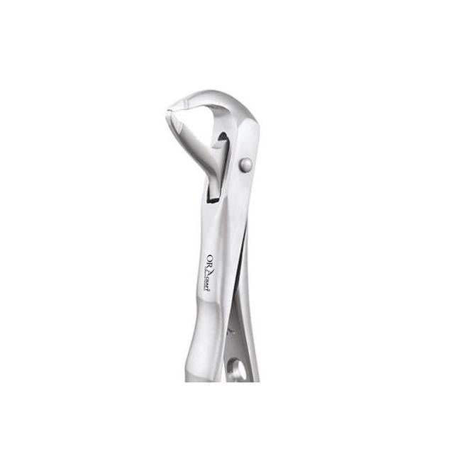Oracraft Atraumatic Lower Roots Extraction Forceps - Global Surgicals