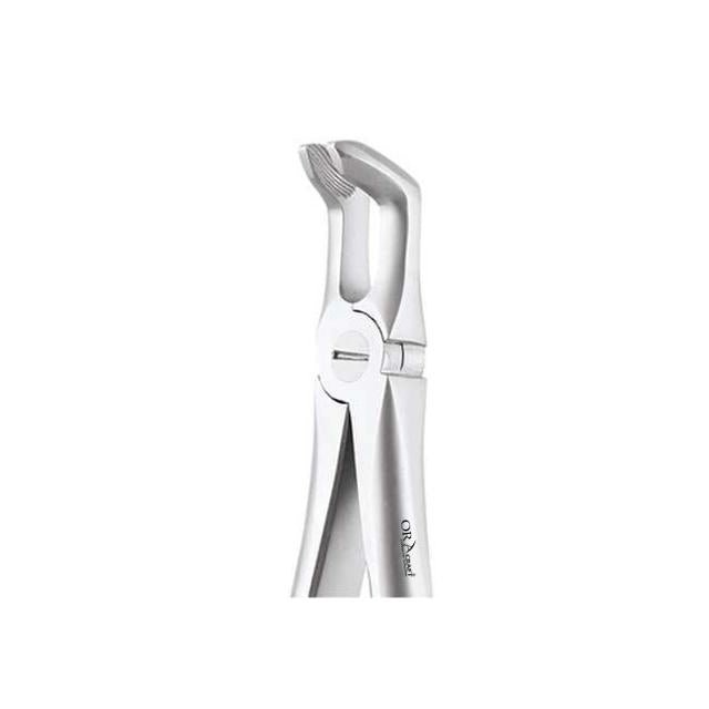 Oracraft Atraumatic Lower Third Molars Extraction Forceps - Global Surgicals