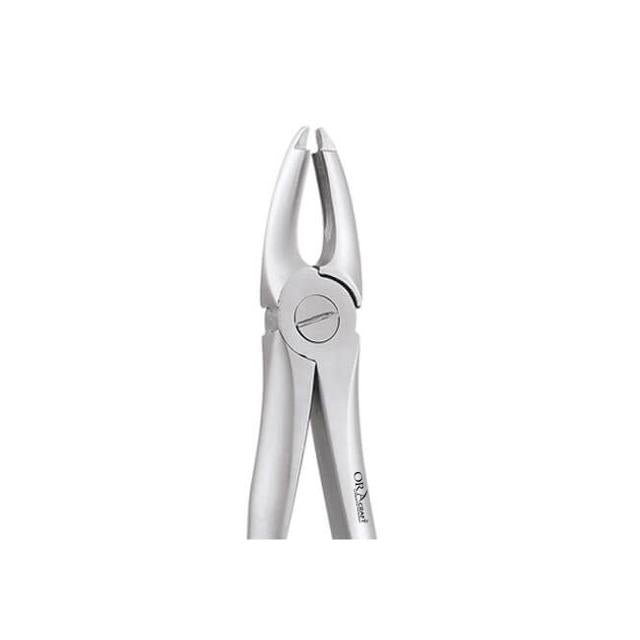 Oracraft Atraumatic Upper Centrals and Canines Extraction Forceps - Global Surgicals