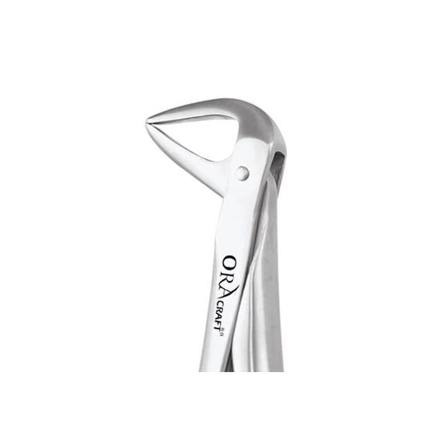 Oracraft Lower Anteriors and Roots Extraction Forceps - Global Surgicals