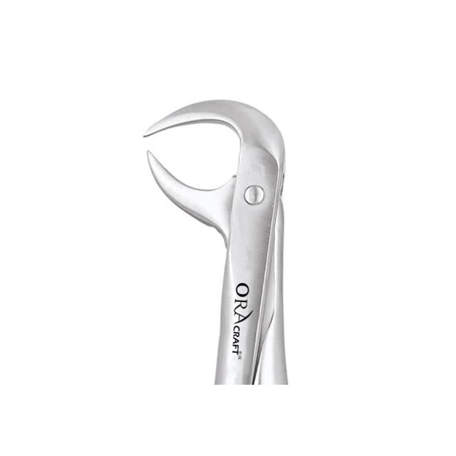 Oracraft Lower Molars Extraction Forceps - Global Surgicals
