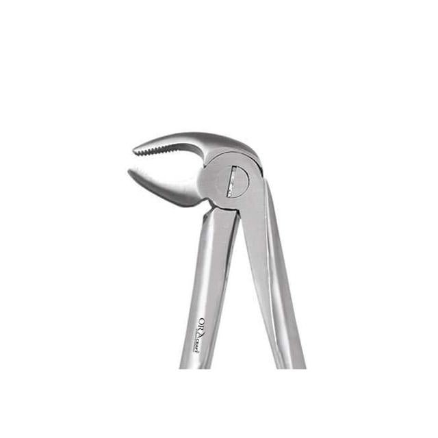Oracraft Lower Premolars Extraction Forceps - Global Surgicals