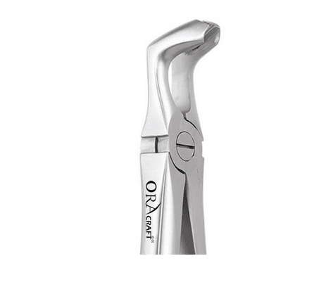 Oracraft Lower Third Molars Extraction Forceps - Global Surgicals