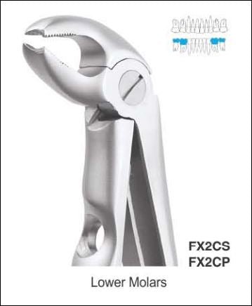 Oracraft Pedodontic Lower Molars Extraction Forceps - Global Surgicals